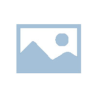 2022年如虎添翼，开工大吉